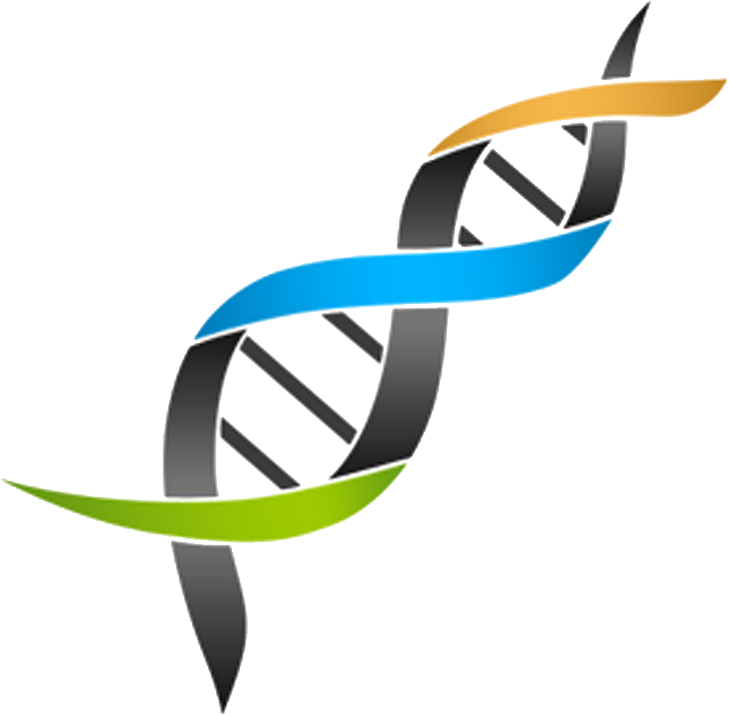 Logo_transparent Logo_transcreate_transparent